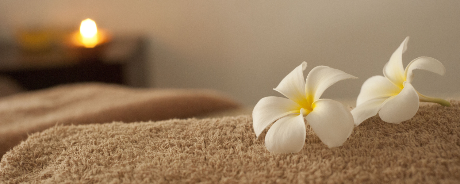 Tendência Equilibrada - Saúde e Bem Estar